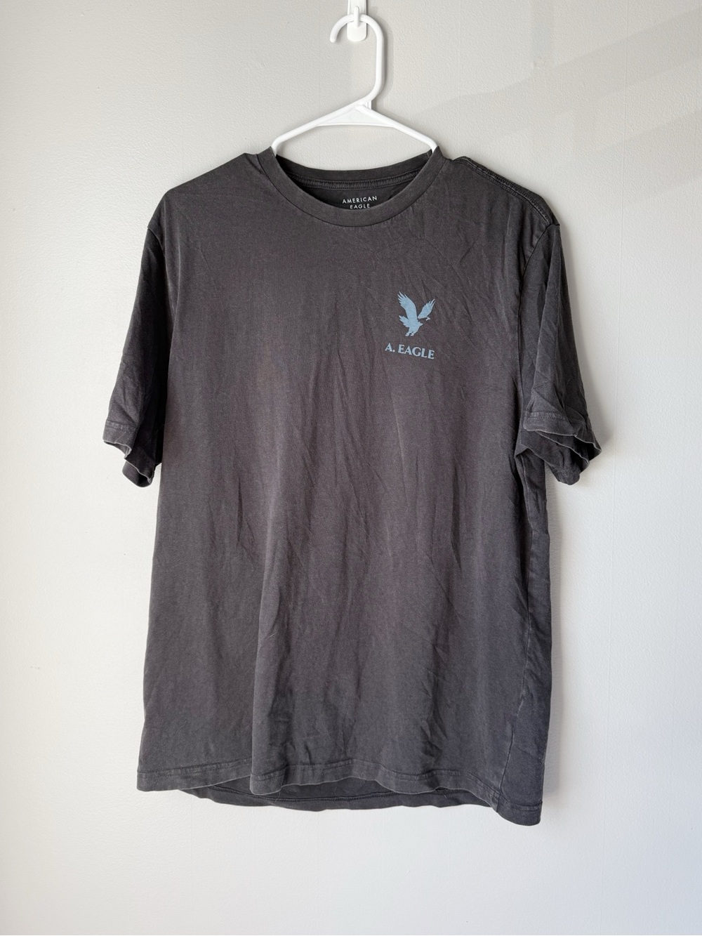 American Eagle Outfitters Men's Short Sleeve Graphic Logo Tee in Charcoal Gray